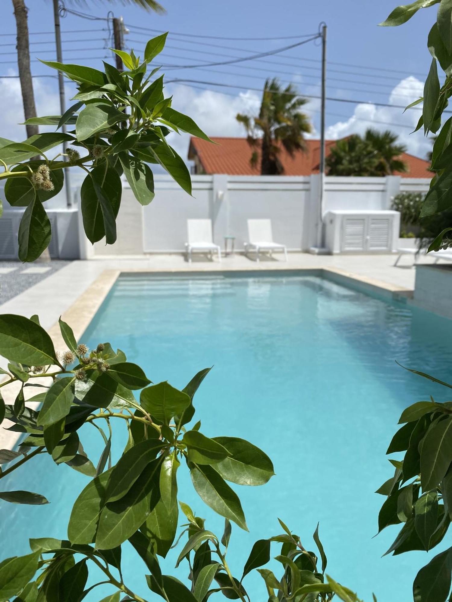 Movida Inn Aruba Palm Beach Pokoj fotografie
