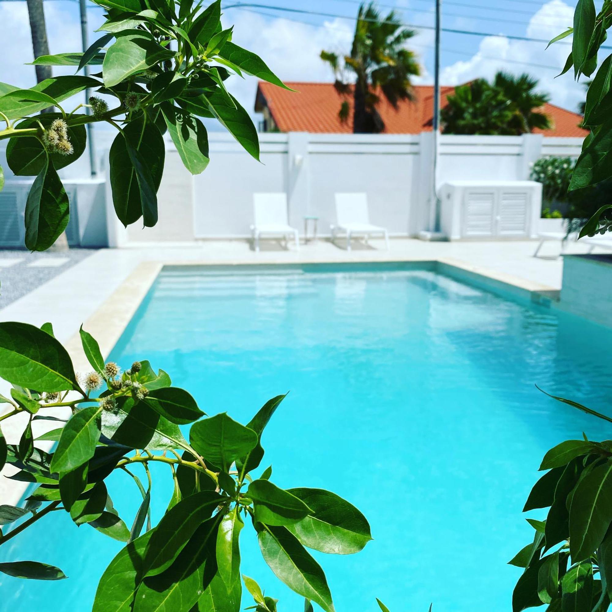 Movida Inn Aruba Palm Beach Pokoj fotografie