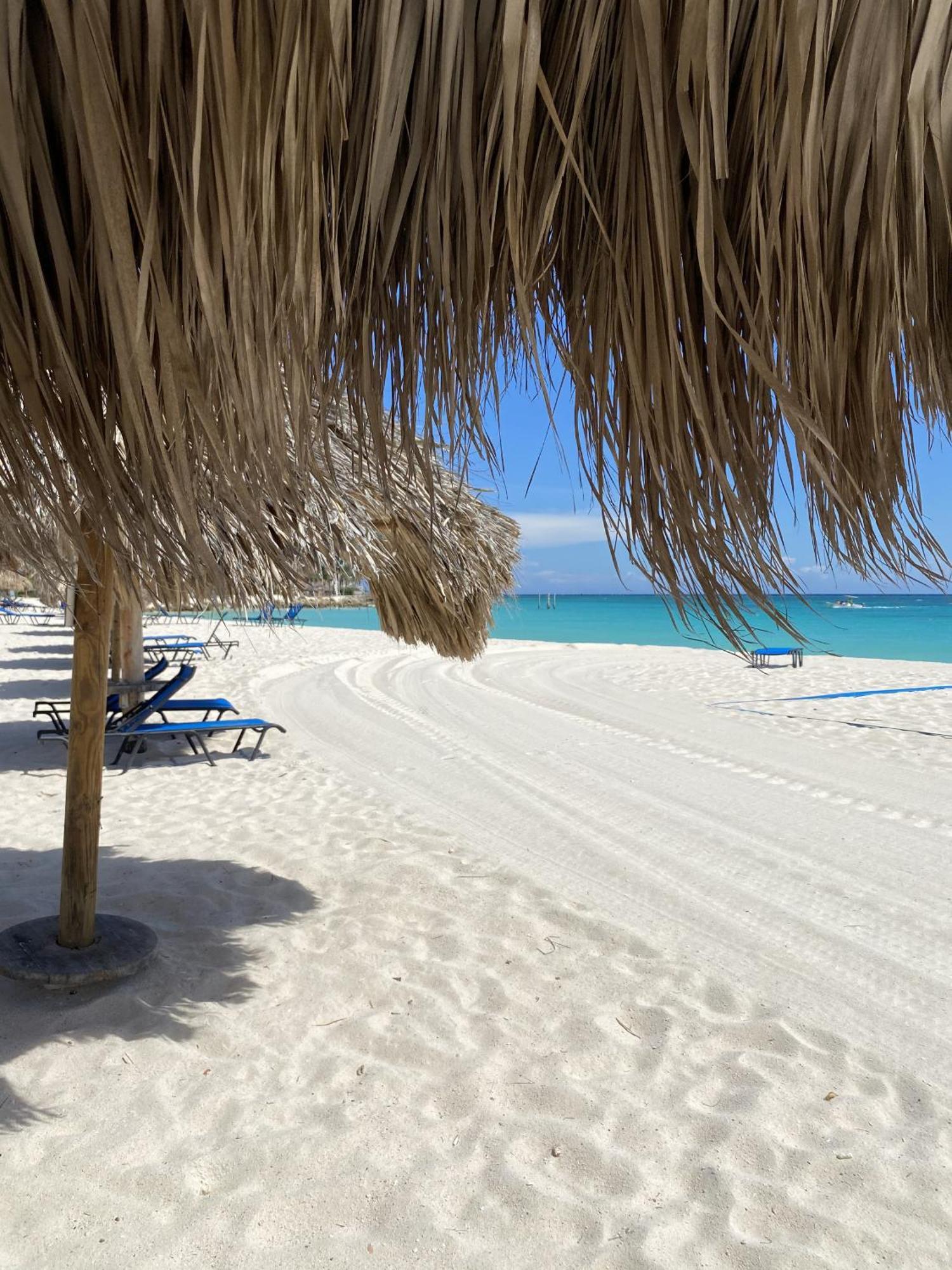 Movida Inn Aruba Palm Beach Pokoj fotografie