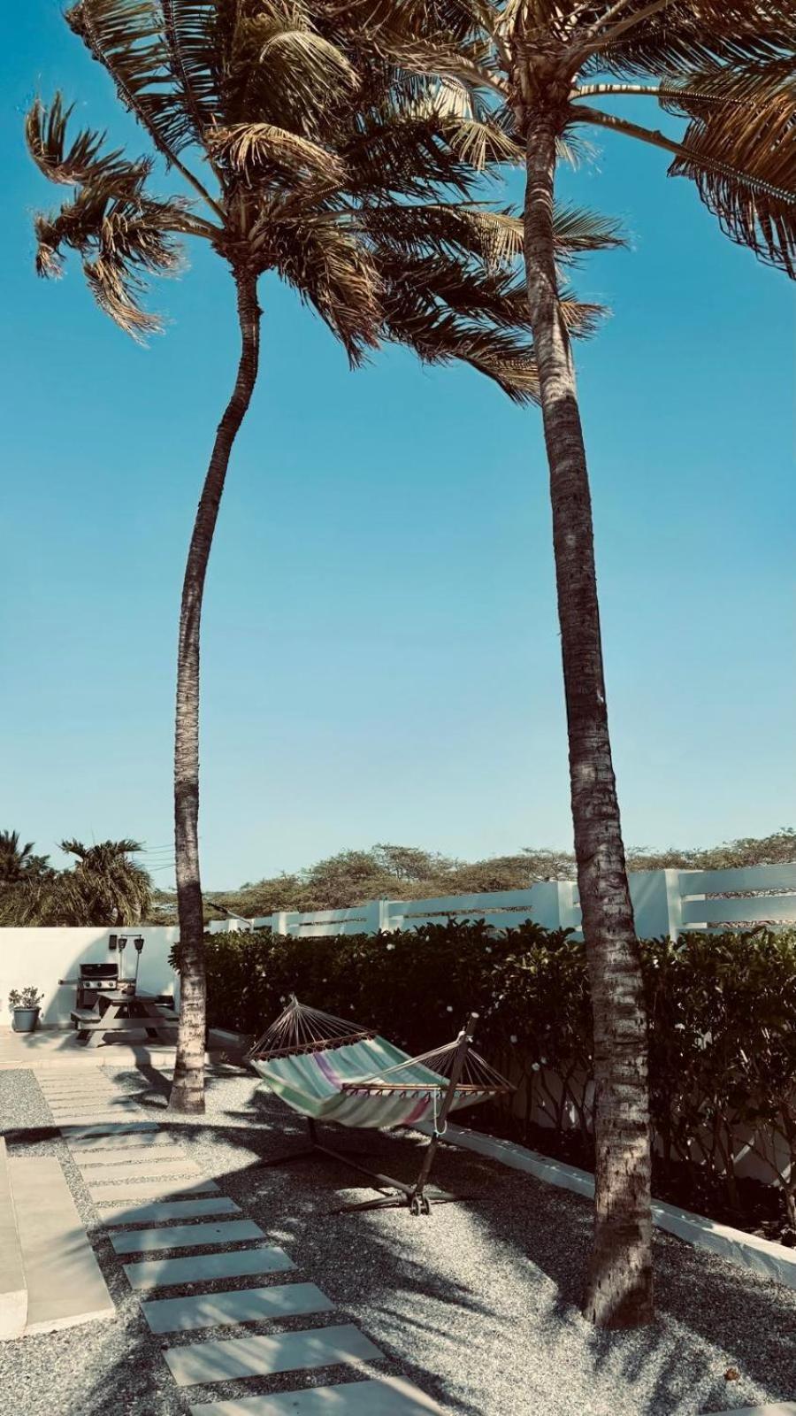 Movida Inn Aruba Palm Beach Exteriér fotografie