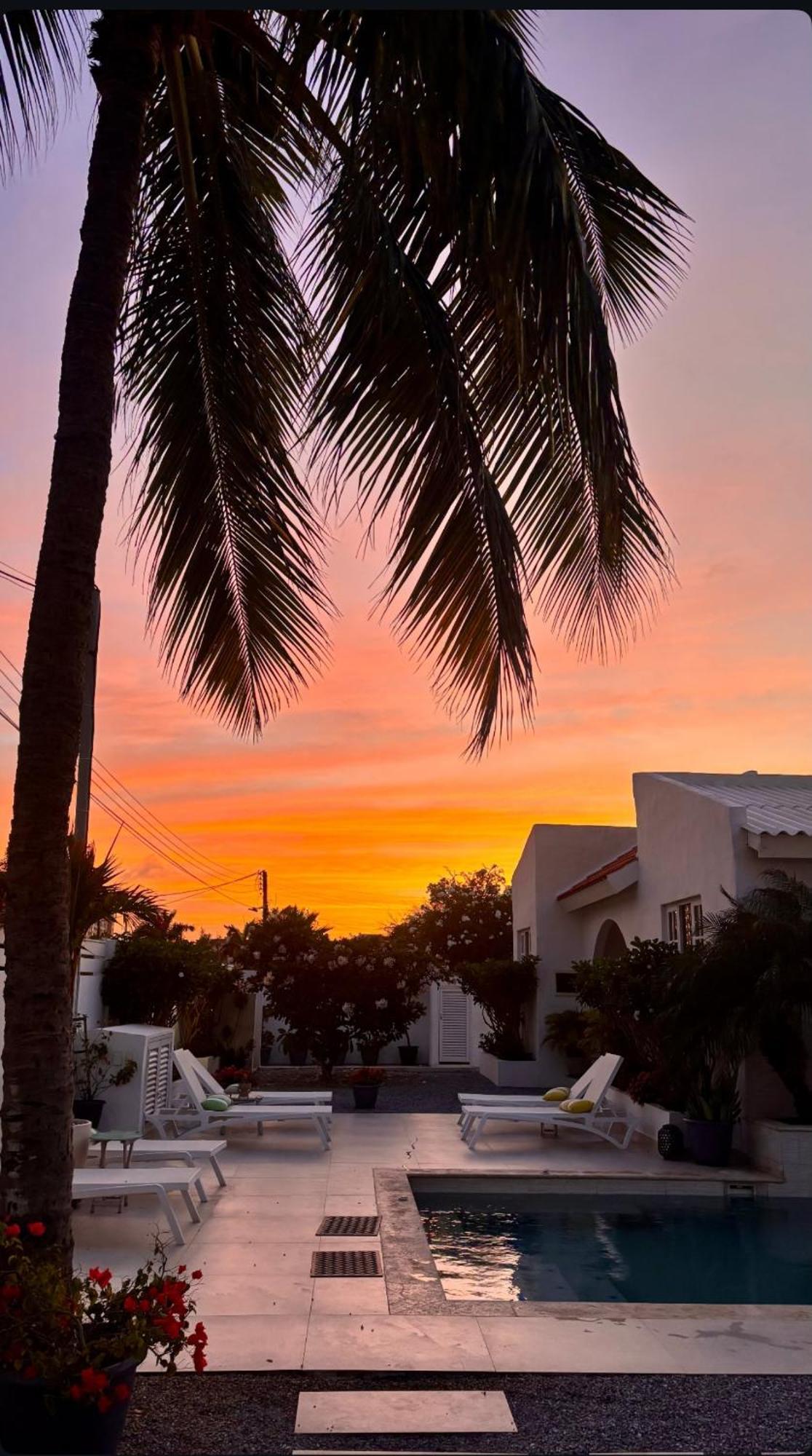 Movida Inn Aruba Palm Beach Exteriér fotografie